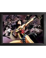 Wonder Woman: Defender Of Truth - Box Canvas