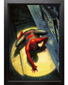 The Spectacular Spiderman - Canvas