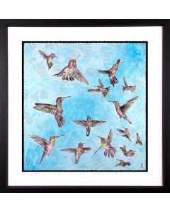 The Breeze - Hummingbirds
